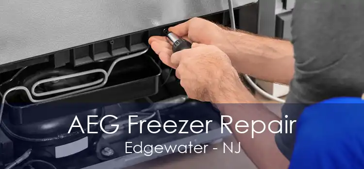 AEG Freezer Repair Edgewater - NJ