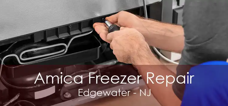 Amica Freezer Repair Edgewater - NJ