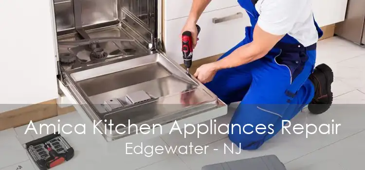 Amica Kitchen Appliances Repair Edgewater - NJ