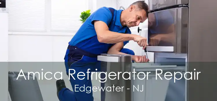 Amica Refrigerator Repair Edgewater - NJ