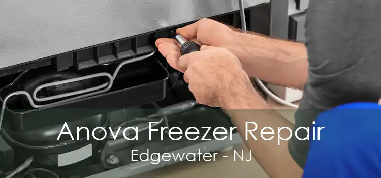 Anova Freezer Repair Edgewater - NJ