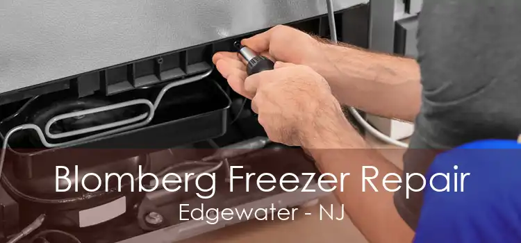 Blomberg Freezer Repair Edgewater - NJ