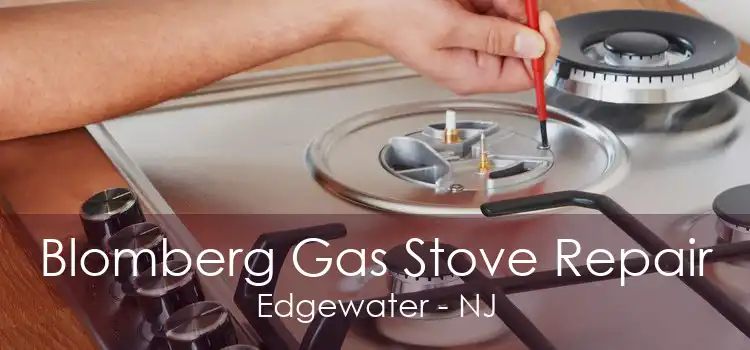 Blomberg Gas Stove Repair Edgewater - NJ