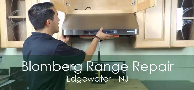 Blomberg Range Repair Edgewater - NJ