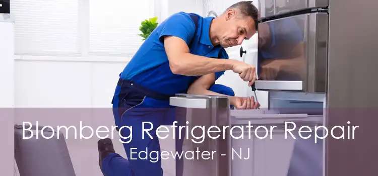 Blomberg Refrigerator Repair Edgewater - NJ