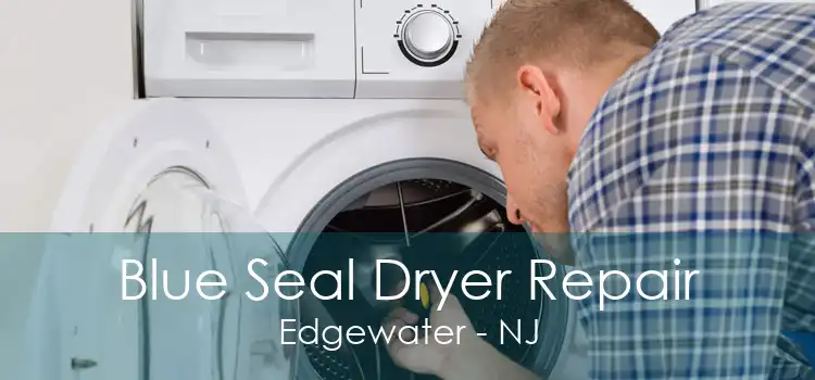 Blue Seal Dryer Repair Edgewater - NJ