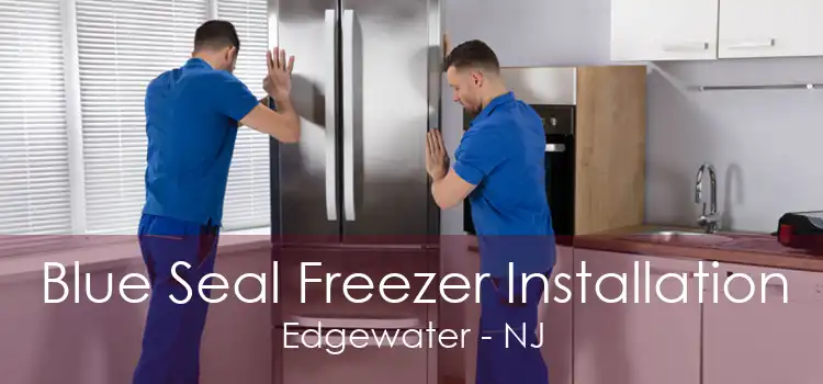 Blue Seal Freezer Installation Edgewater - NJ