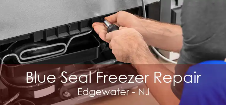 Blue Seal Freezer Repair Edgewater - NJ