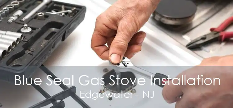 Blue Seal Gas Stove Installation Edgewater - NJ