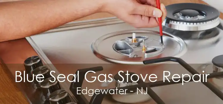 Blue Seal Gas Stove Repair Edgewater - NJ