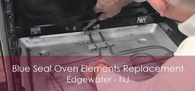 Blue Seal Oven Elements Replacement Edgewater - NJ