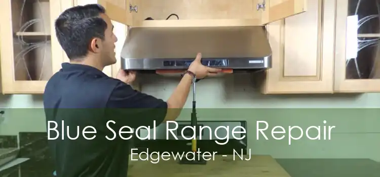 Blue Seal Range Repair Edgewater - NJ