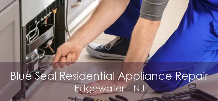 Blue Seal Residential Appliance Repair Edgewater - NJ