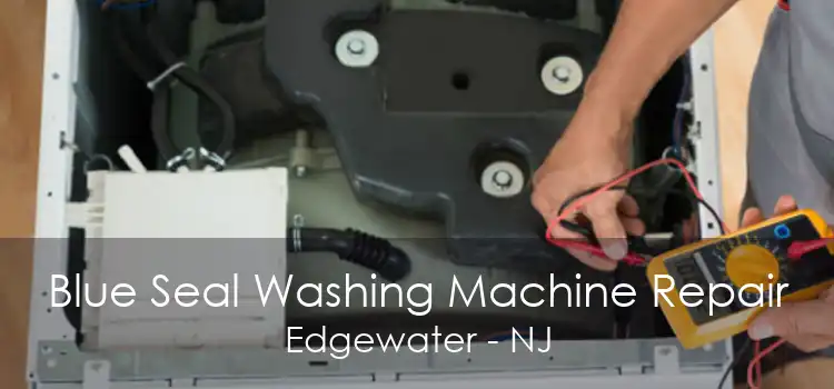 Blue Seal Washing Machine Repair Edgewater - NJ