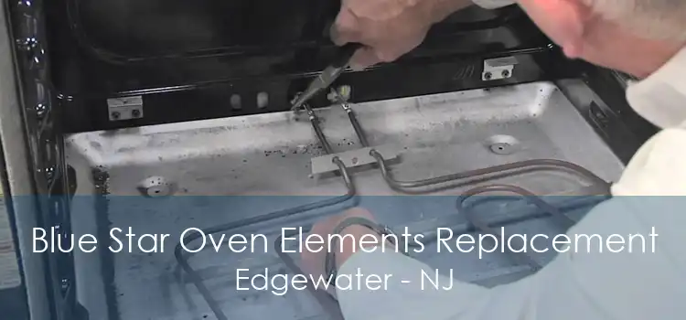 Blue Star Oven Elements Replacement Edgewater - NJ