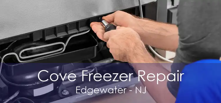 Cove Freezer Repair Edgewater - NJ