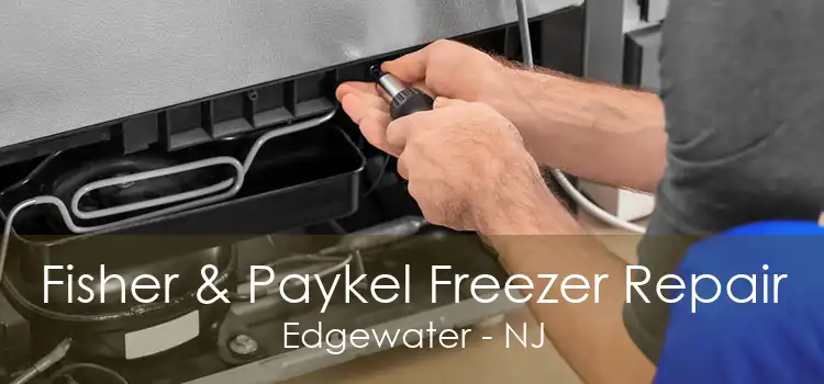 Fisher & Paykel Freezer Repair Edgewater - NJ