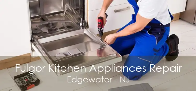 Fulgor Kitchen Appliances Repair Edgewater - NJ