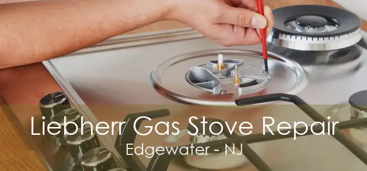 Liebherr Gas Stove Repair Edgewater - NJ