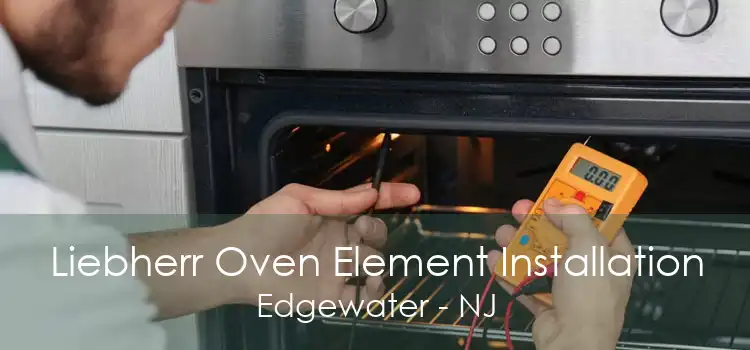 Liebherr Oven Element Installation Edgewater - NJ