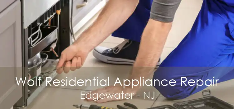 Wolf Residential Appliance Repair Edgewater - NJ